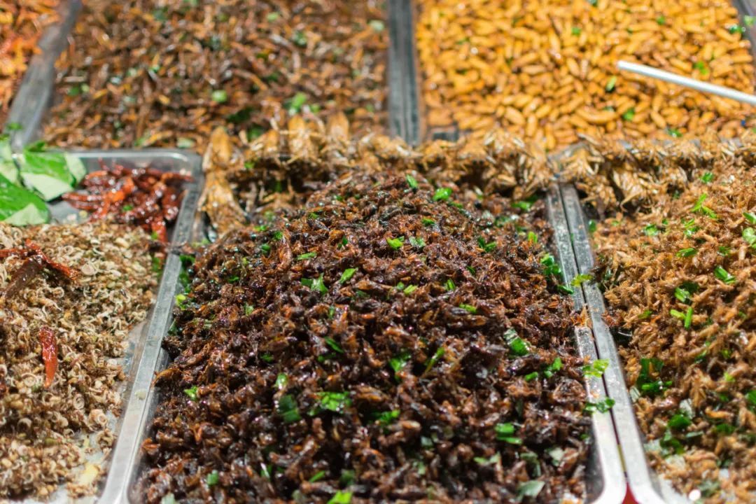 瞳孔地震!女子捉了30只白蚁当菜吃,剧烈腹痛紧急送医… 瞳孔地震!女子捉了30只白蚁当菜吃,剧烈腹痛紧急送医…