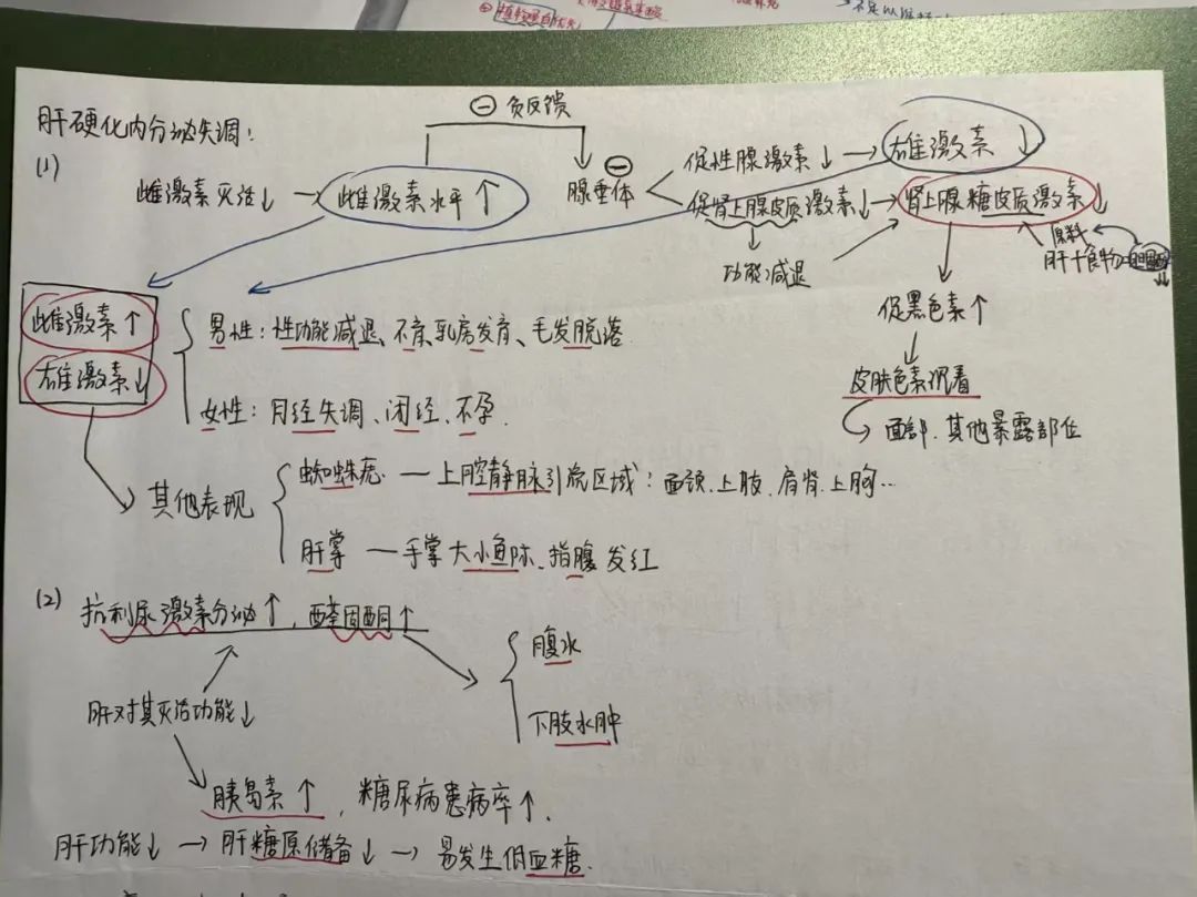 中专→大专→本科→北大研究生！她是如何做到的？