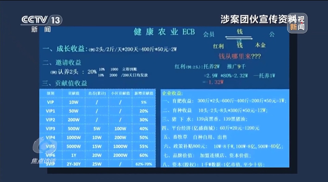 媒体聚焦丨“云养殖”里藏骗局 媒体聚焦丨“云养殖”里藏骗局