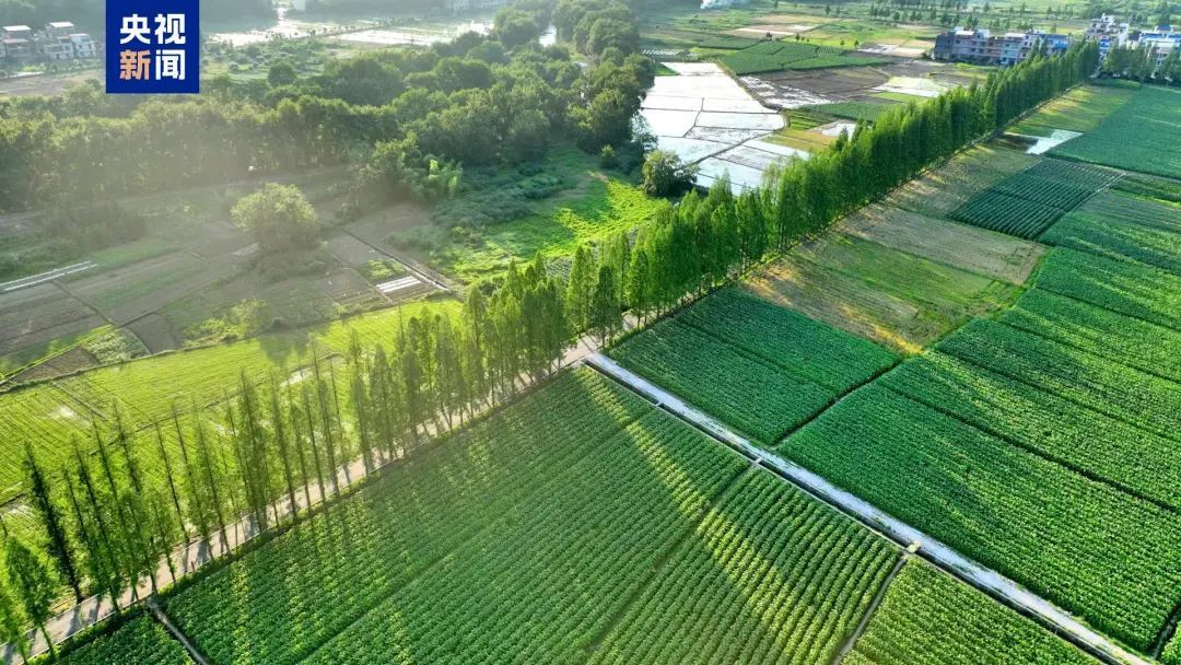 贵州这条路,全国“十大最美”! 贵州这条路,全国“十大最美”!