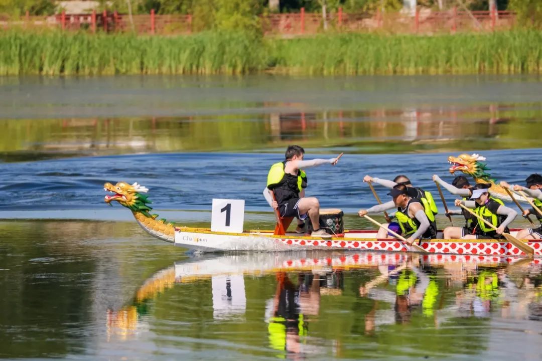 最佳观赛点在这里！端午节到北京通州看赛龙舟——