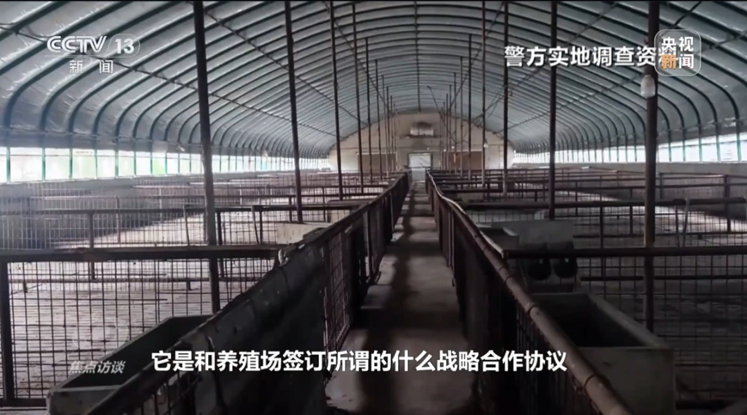 媒体聚焦丨“云养殖”里藏骗局 媒体聚焦丨“云养殖”里藏骗局
