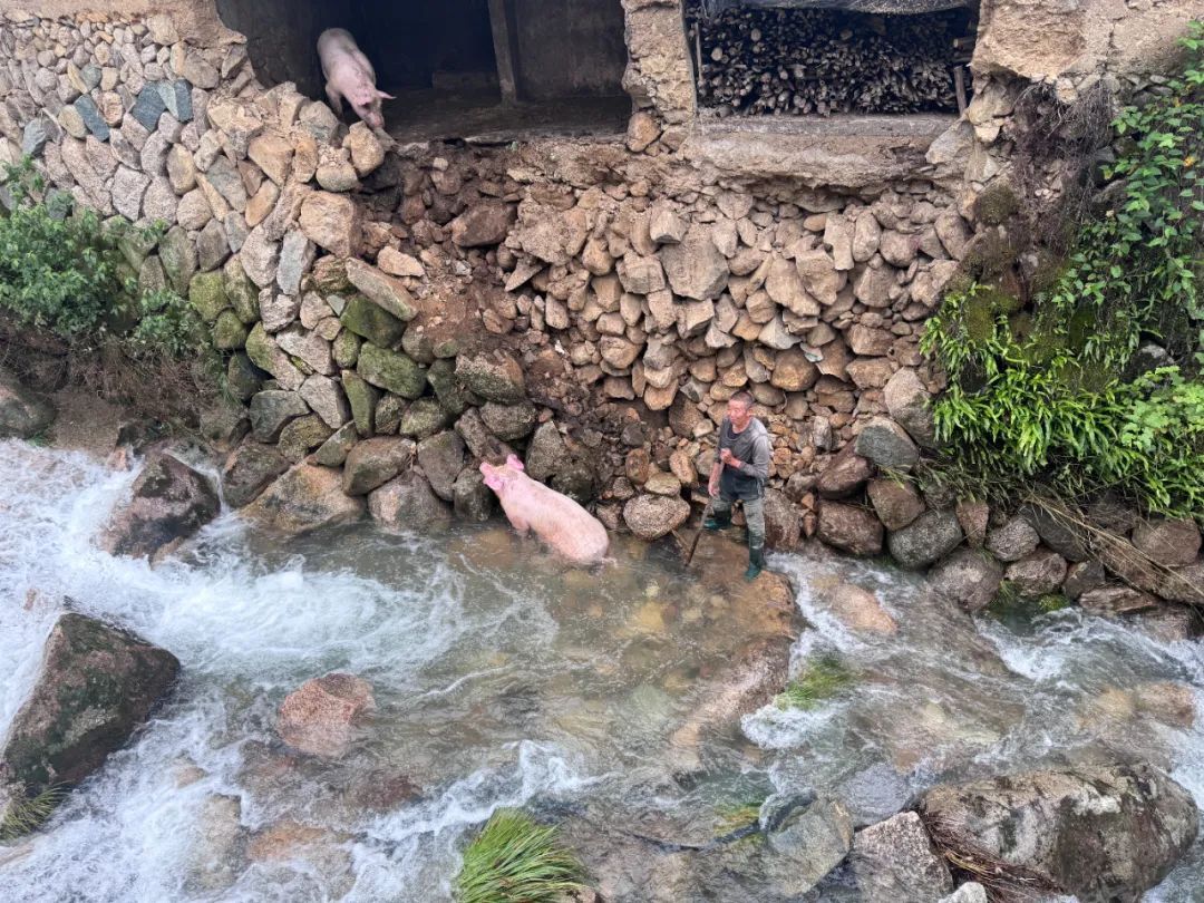 “二师兄”成功上岸了!