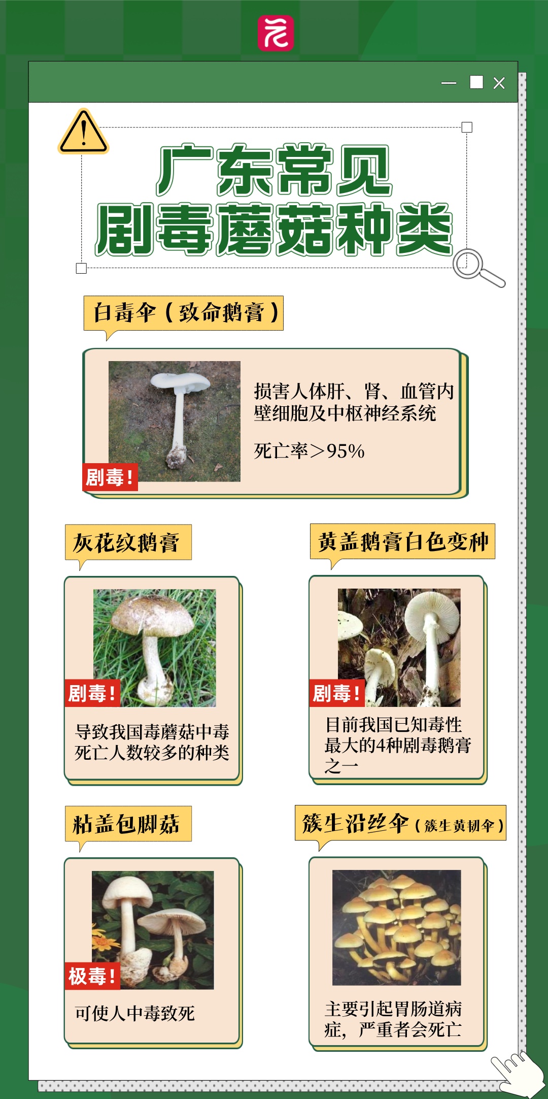 广东通报一起食物中毒事件:发病3例,死亡1例 广东通报一起食物中毒事件:发病3例,死亡1例