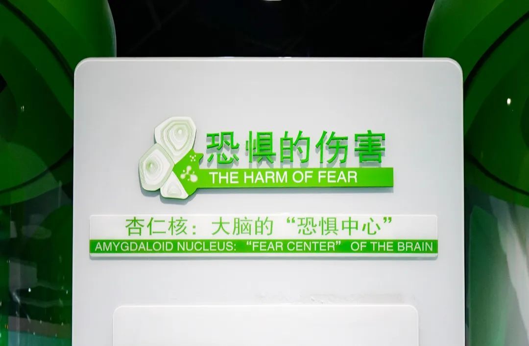 展项拾趣丨测测你的气质，很准的哦！