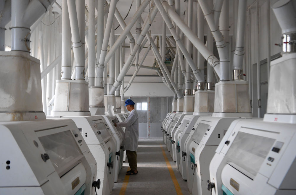 三夏麦收:弱筋小麦如何变得“强”起来 三夏麦收:弱筋小麦如何变得“强”起来