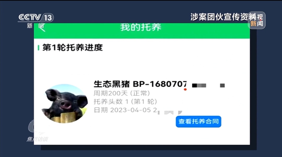 媒体聚焦丨“云养殖”里藏骗局 媒体聚焦丨“云养殖”里藏骗局