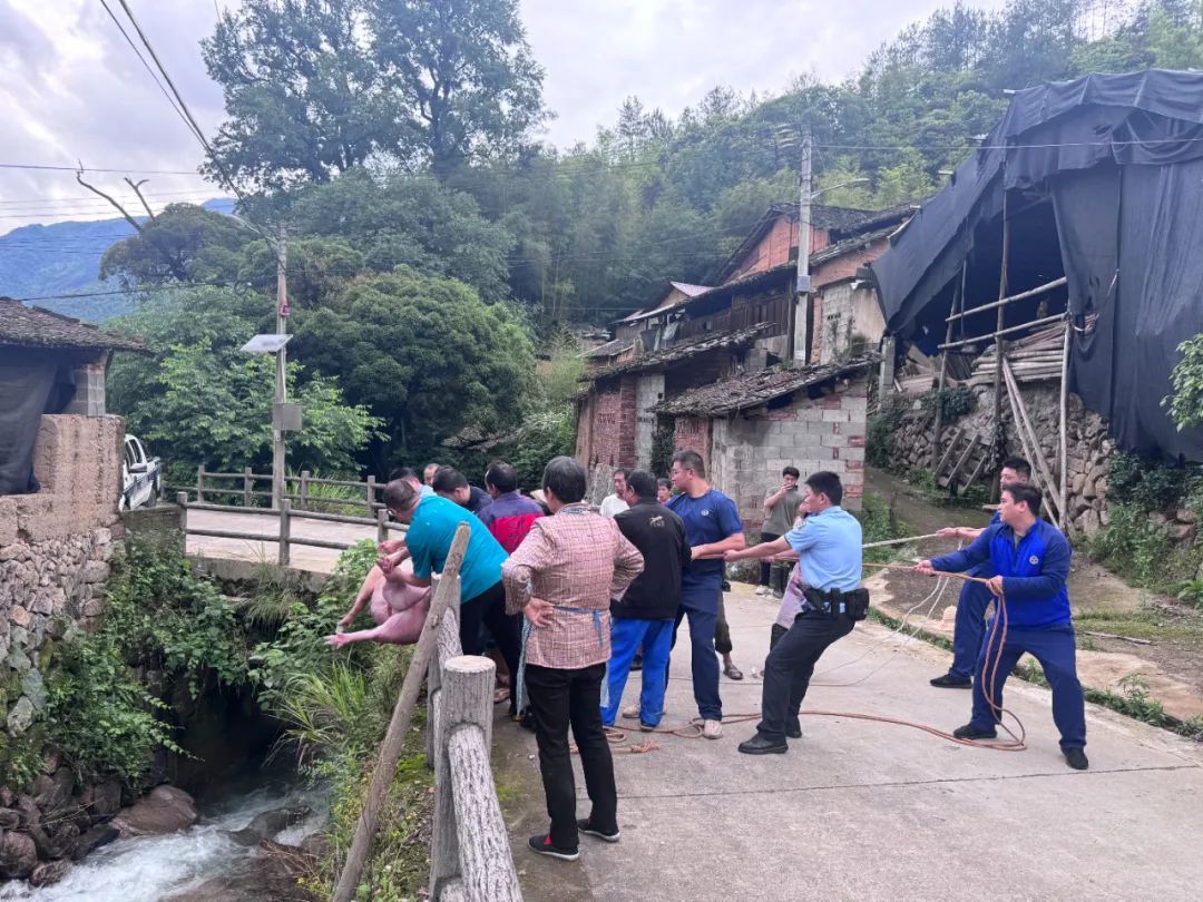 “二师兄”成功上岸了!