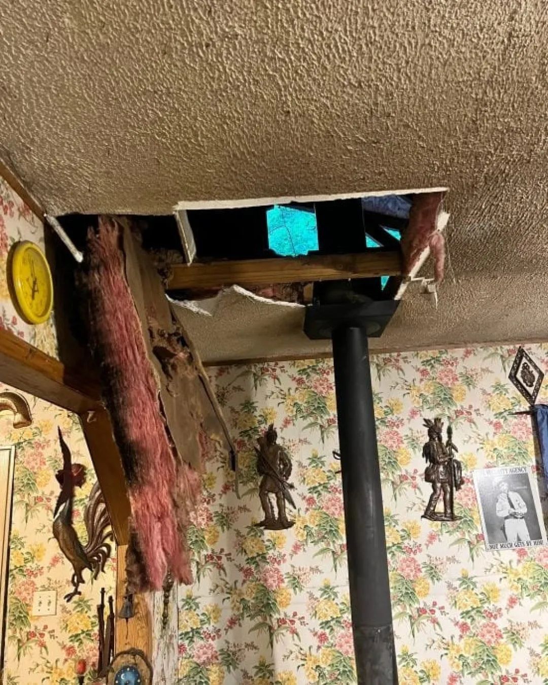 美国一黑熊从天花板掉落坐在炉台发呆,官员:首次见这样乖巧的熊 美国一黑熊从天花板掉落坐在炉台发呆,官员:首次见这样乖巧的熊