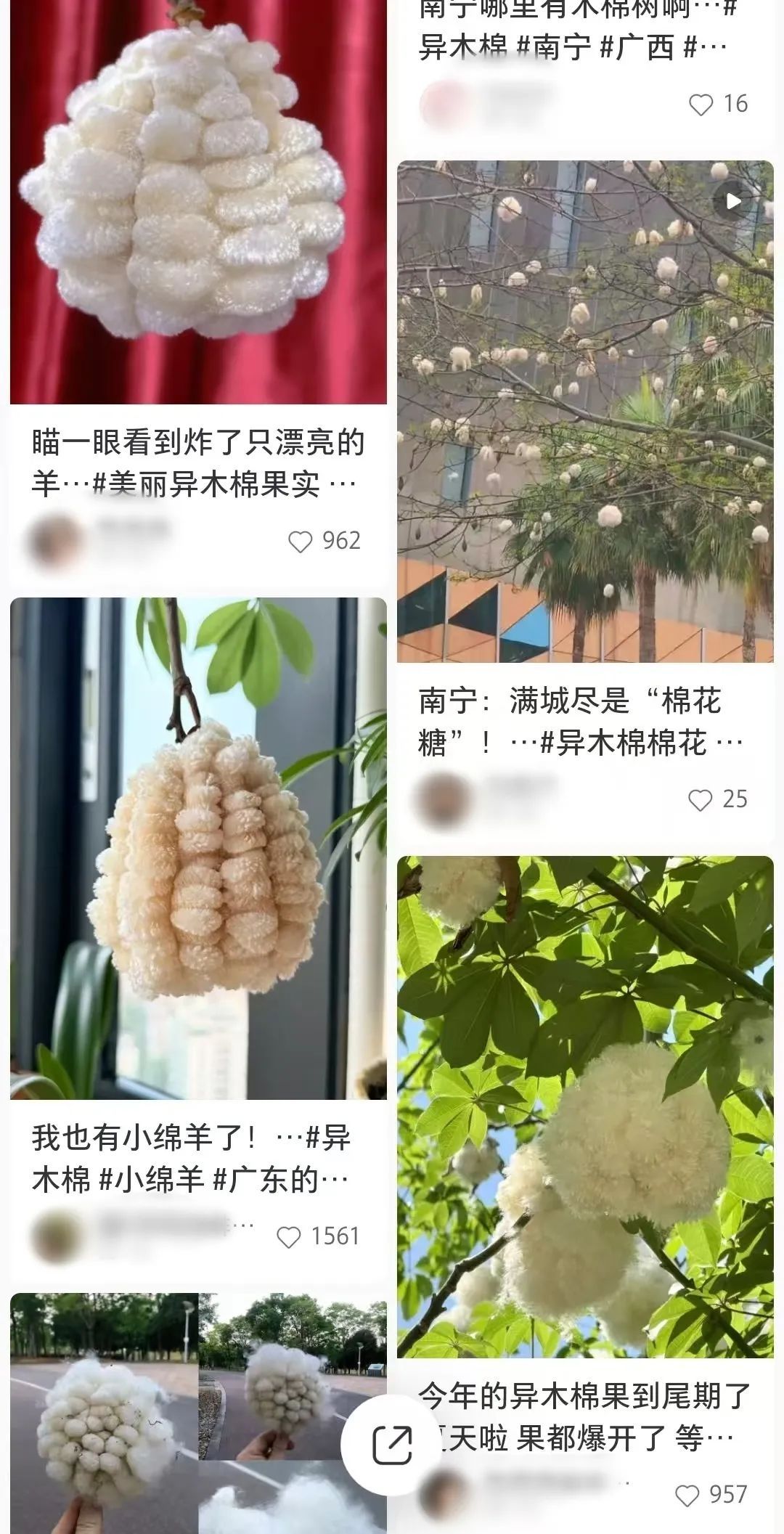 “南方特产”突然爆火,全国网友求邮寄……南宁网友:我有! “南方特产”突然爆火,全国网友求邮寄……南宁网友:我有!