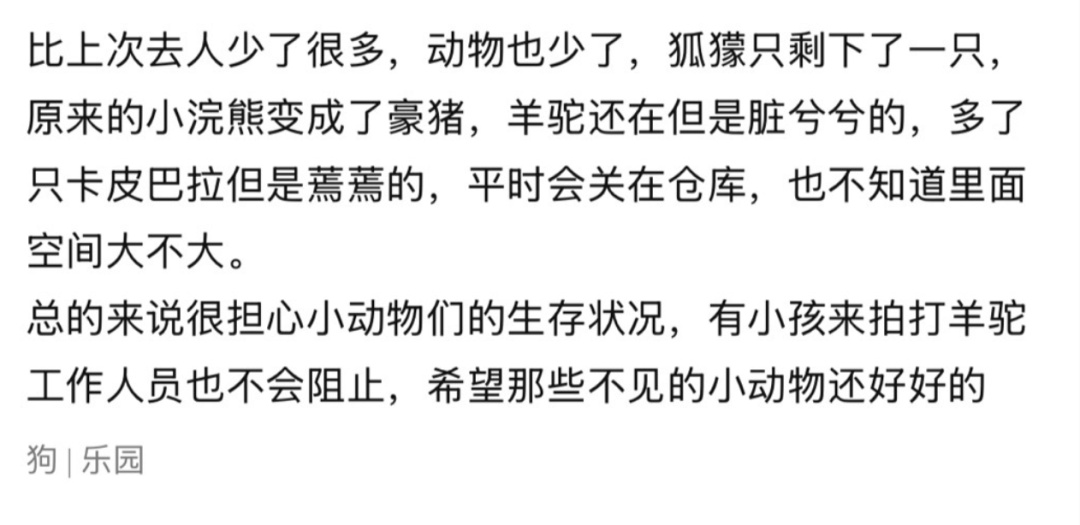 卡皮巴拉、羊驼入驻商场，背后暗藏哪些隐患？