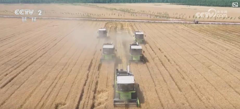全国小麦收获过三成 新农机、新品种助力麦收高效稳产 全国小麦收获过三成 新农机、新品种助力麦收高效稳产
