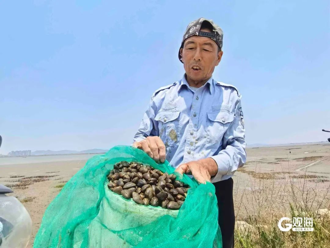 正是肥的时候！每天上万斤在青岛这里上岸，很多人爱吃......