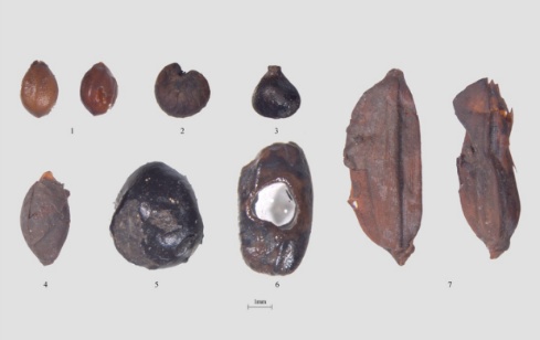 如果文物会说话|这座超级大墓,越挖越惊奇 如果文物会说话|这座超级大墓,越挖越惊奇