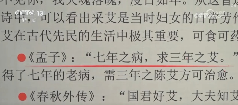 端午古韵展新貌 小小艾草“香”了村庄“富”了百姓 端午古韵展新貌 小小艾草“香”了村庄“富”了百姓