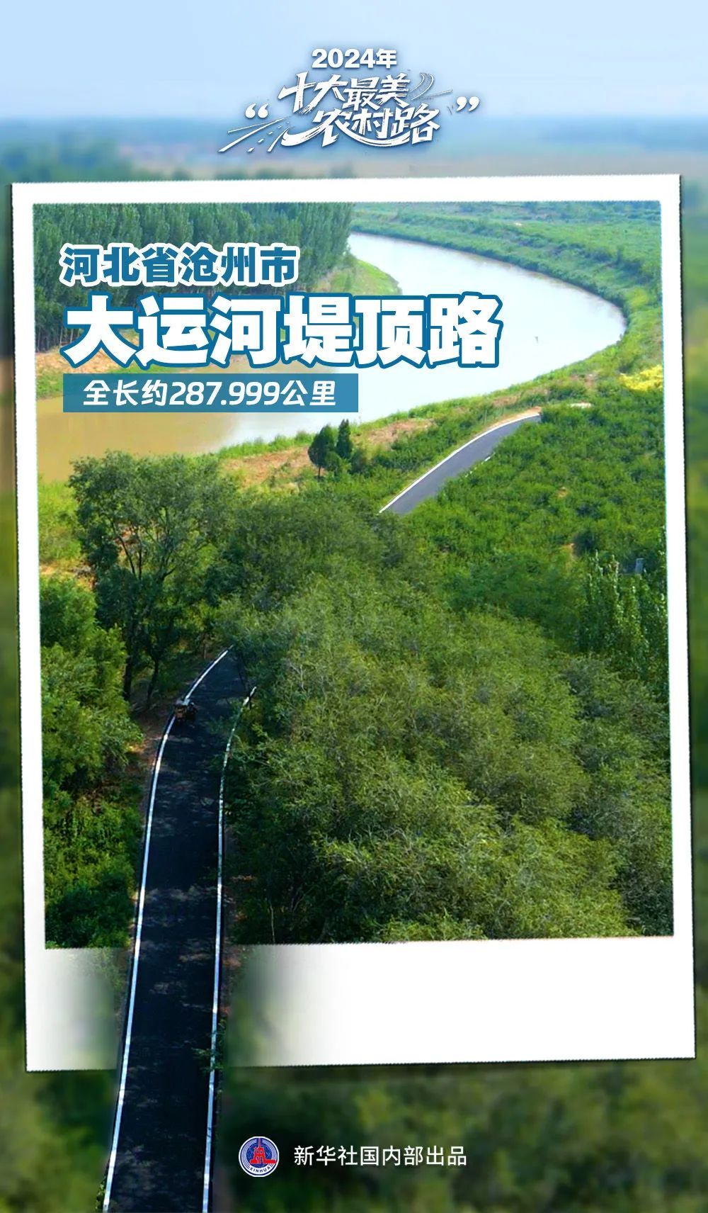 山东一地入选2024“十大最美农村路”,来看家门口的“诗和远方” 山东一地入选2024“十大最美农村路”,来看家门口的“诗和远方”