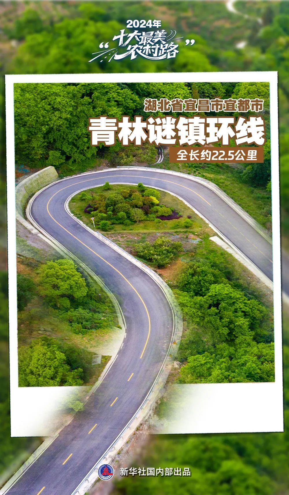 山东一地入选2024“十大最美农村路”,来看家门口的“诗和远方” 山东一地入选2024“十大最美农村路”,来看家门口的“诗和远方”
