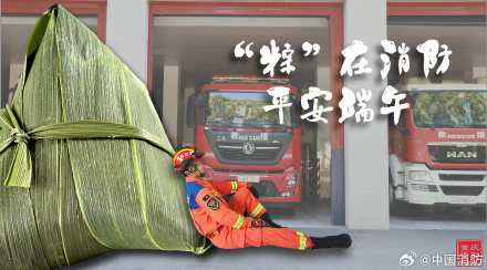 搜救犬端午限定粽系写真 搜救犬端午限定粽系写真