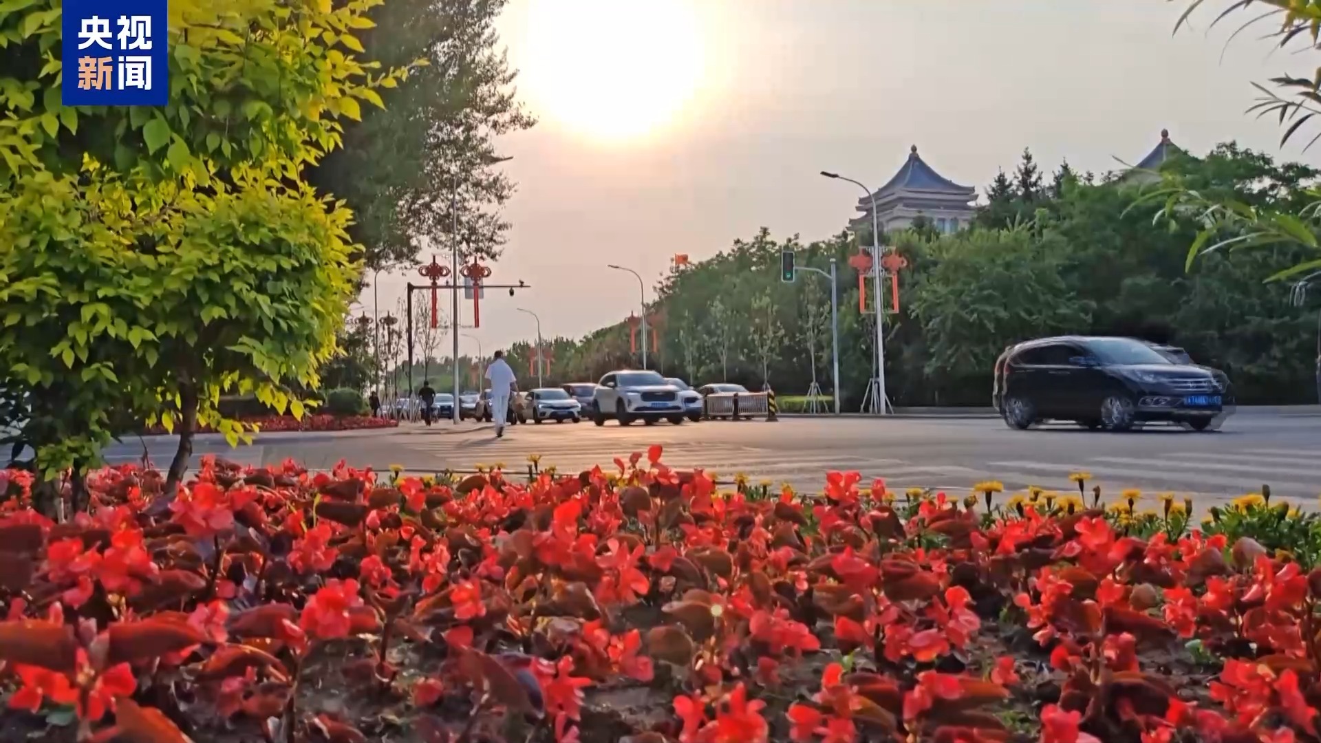 城市的浪漫藏不住了!这个夏天祝你一路生花 城市的浪漫藏不住了!这个夏天祝你一路生花