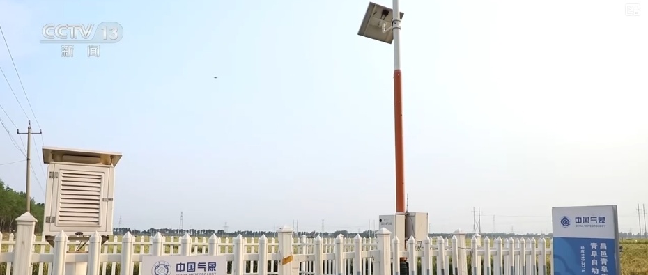 “智慧气象”赋能“三夏”生产 “机械化收割+科技制育种”共绘夏收新画卷 “智慧气象”赋能“三夏”生产 “机械化收割+科技制育种”共绘夏收新画卷