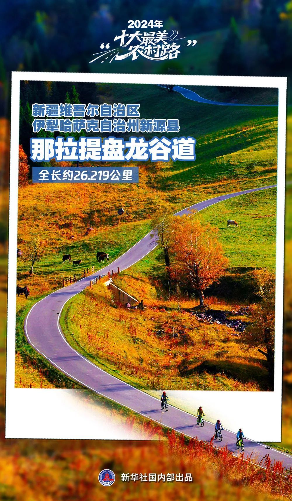 山东一地入选2024“十大最美农村路”,来看家门口的“诗和远方” 山东一地入选2024“十大最美农村路”,来看家门口的“诗和远方”