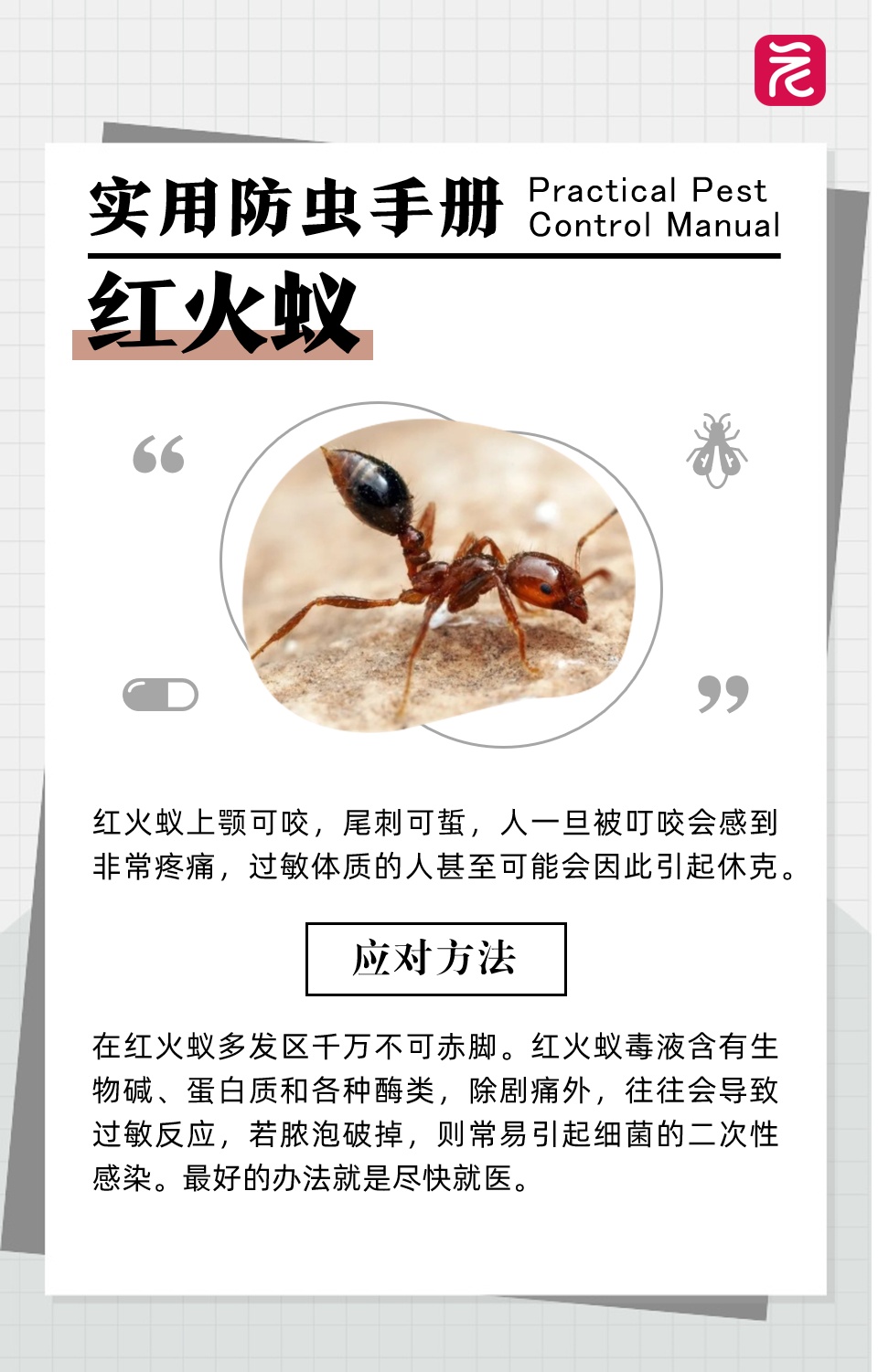 沙发上睡一觉被虫咬,差点截趾!严重或危及生命,千万当心! 沙发上睡一觉被虫咬,差点截趾!严重或危及生命,千万当心!