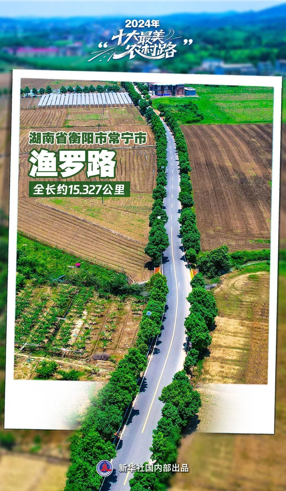 山东一地入选2024“十大最美农村路”,来看家门口的“诗和远方” 山东一地入选2024“十大最美农村路”,来看家门口的“诗和远方”