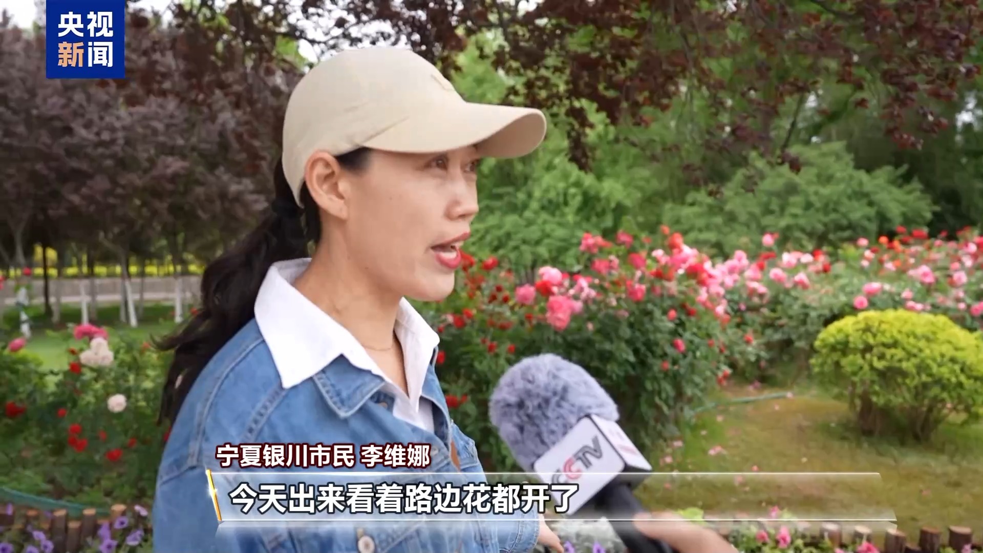 城市的浪漫藏不住了!这个夏天祝你一路生花 城市的浪漫藏不住了!这个夏天祝你一路生花