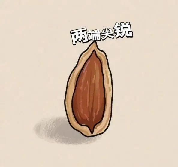 好吃却可能惹出大麻烦!警惕粽子里的“隐形刺客” 好吃却可能惹出大麻烦!警惕粽子里的“隐形刺客”