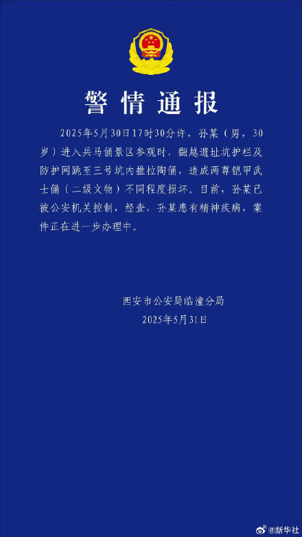 男子跳进兵马俑坑造成铠甲武士俑损坏