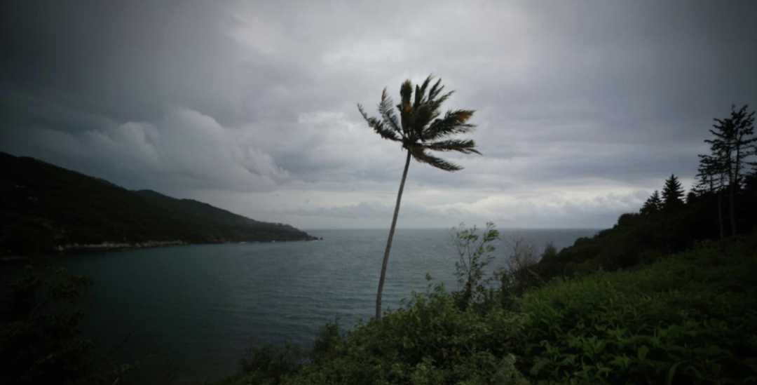 今年1号台风迟迟不来,好事还是坏事? 今年1号台风迟迟不来,好事还是坏事?