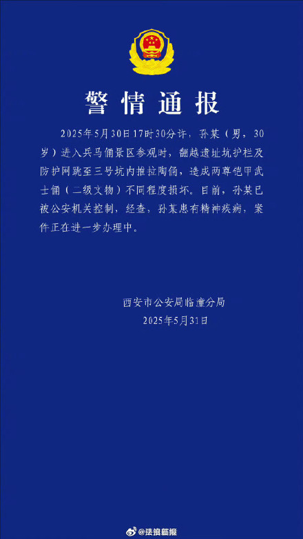官方通报男子跳入兵马俑三号坑