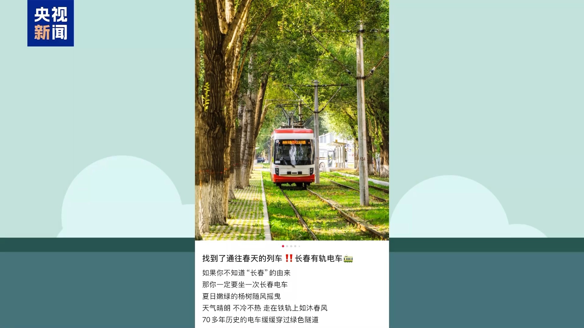 城市的浪漫藏不住了!这个夏天祝你一路生花 城市的浪漫藏不住了!这个夏天祝你一路生花