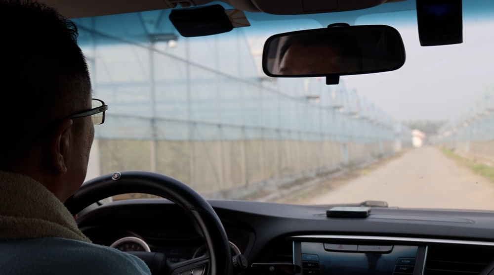 科技报国的时代答卷|守护民生之“芯”:黄瓜“芯”的创新征途 科技报国的时代答卷|守护民生之“芯”:黄瓜“芯”的创新征途