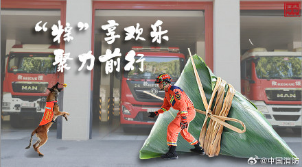 搜救犬端午限定粽系写真 搜救犬端午限定粽系写真