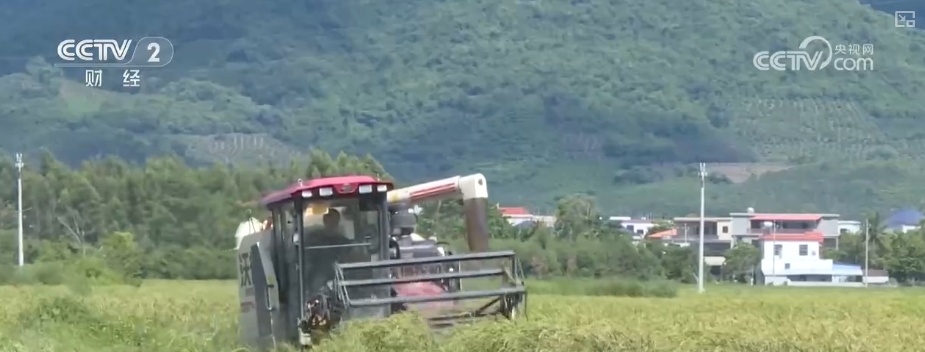 “智慧气象”赋能“三夏”生产 “机械化收割+科技制育种”共绘夏收新画卷 “智慧气象”赋能“三夏”生产 “机械化收割+科技制育种”共绘夏收新画卷