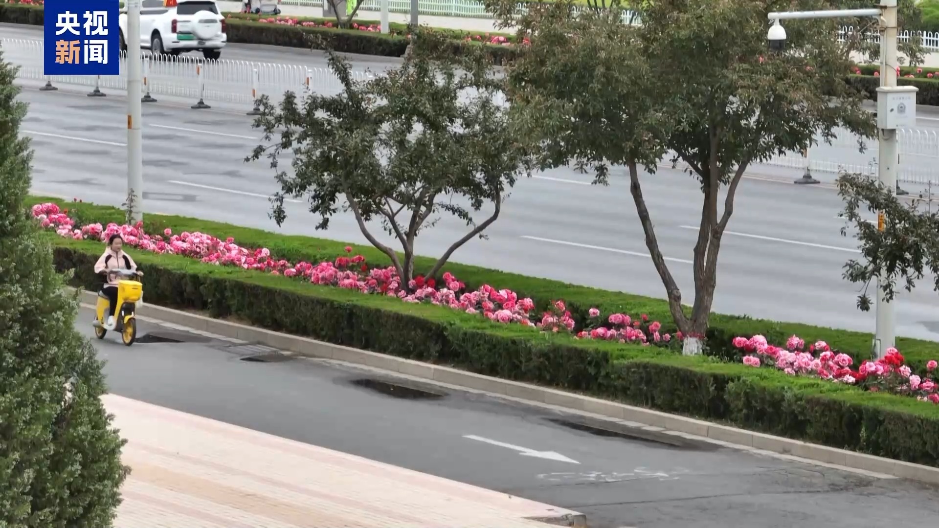 城市的浪漫藏不住了!这个夏天祝你一路生花 城市的浪漫藏不住了!这个夏天祝你一路生花