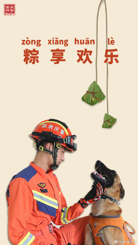 搜救犬端午限定粽系写真 搜救犬端午限定粽系写真
