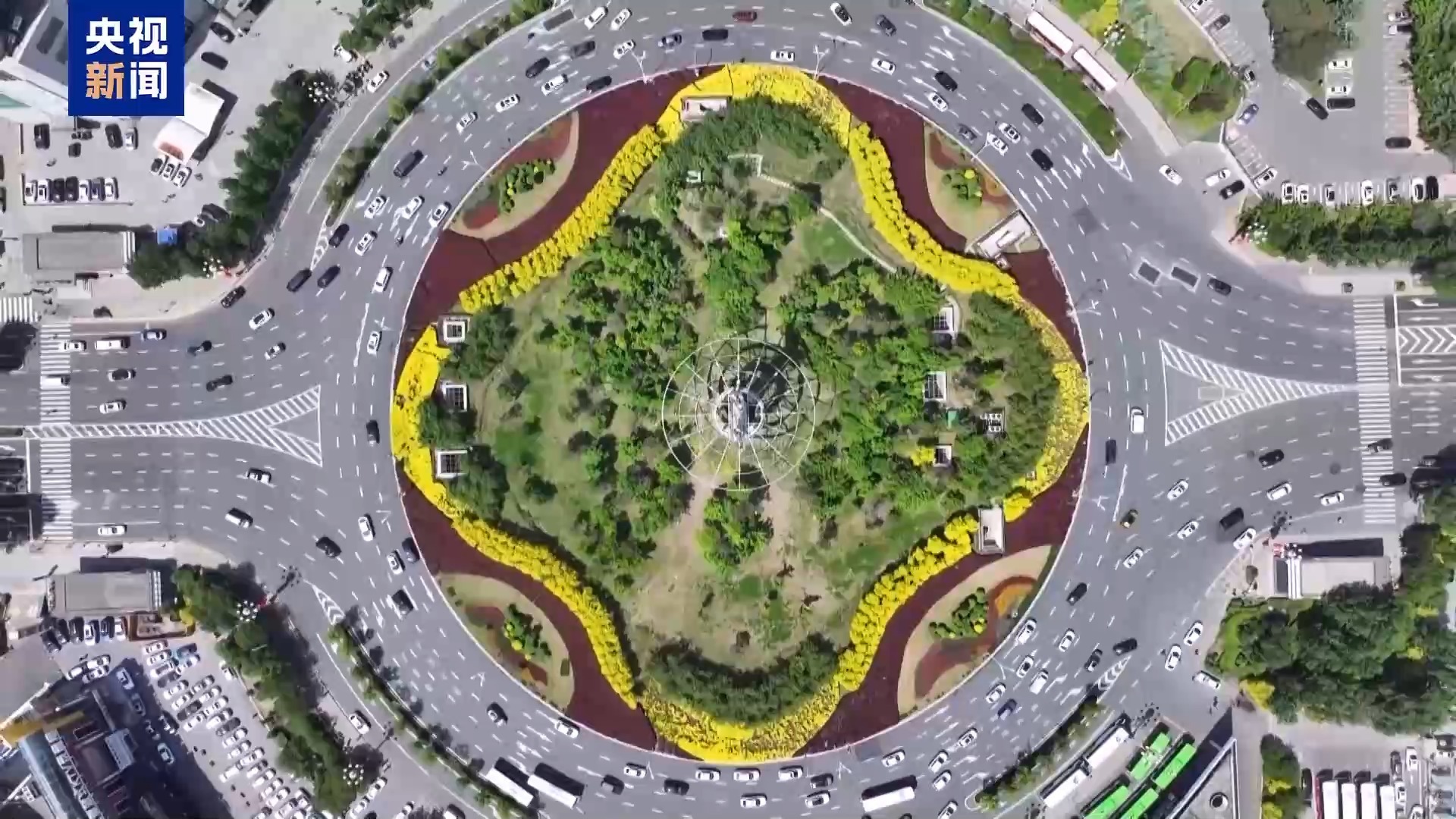 城市的浪漫藏不住了!这个夏天祝你一路生花 城市的浪漫藏不住了!这个夏天祝你一路生花