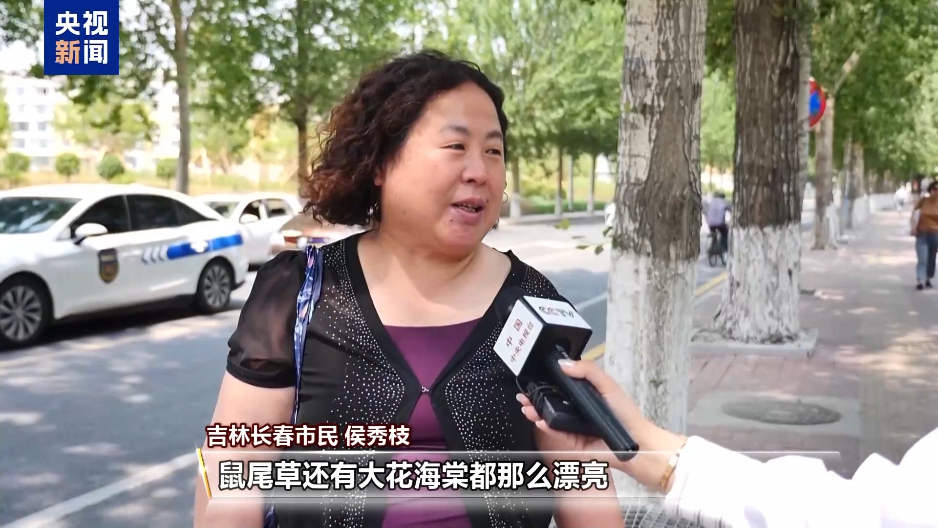 城市的浪漫藏不住了!这个夏天祝你一路生花 城市的浪漫藏不住了!这个夏天祝你一路生花