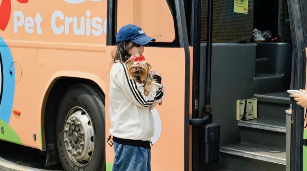 几近售罄,上海首条!宠物专线一人一宠票价20元 几近售罄,上海首条!宠物专线一人一宠票价20元