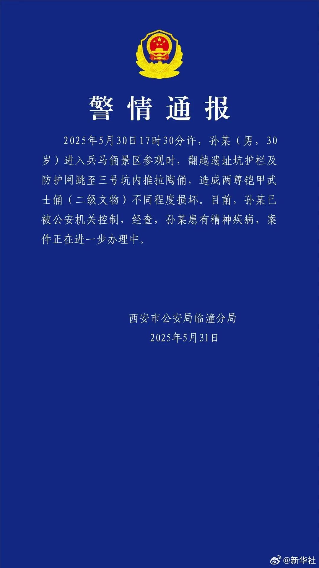 一男子跳进兵马俑坑造成损坏，警方通报！