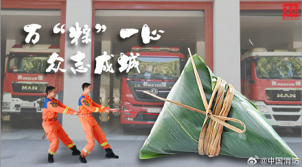 搜救犬端午限定粽系写真 搜救犬端午限定粽系写真