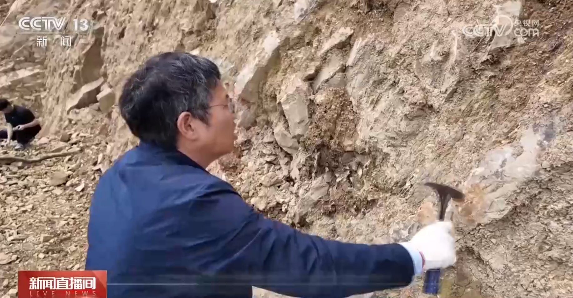 大国科学家丨朱敏:不懈追寻 探索“从鱼到人”生命起源 大国科学家丨朱敏:不懈追寻 探索“从鱼到人”生命起源