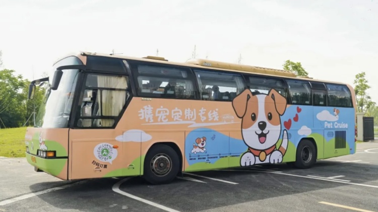 几近售罄,上海首条!宠物专线一人一宠票价20元 几近售罄,上海首条!宠物专线一人一宠票价20元