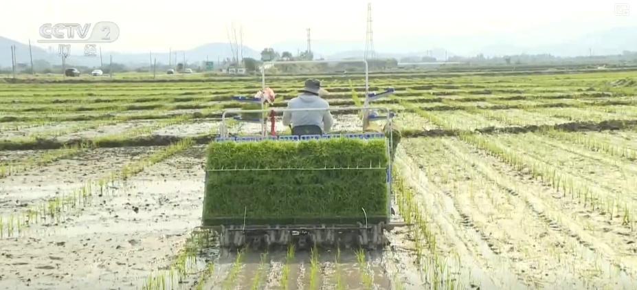“智慧气象”赋能“三夏”生产 “机械化收割+科技制育种”共绘夏收新画卷 “智慧气象”赋能“三夏”生产 “机械化收割+科技制育种”共绘夏收新画卷