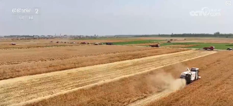 全国小麦收获过三成 新农机、新品种助力麦收高效稳产 全国小麦收获过三成 新农机、新品种助力麦收高效稳产