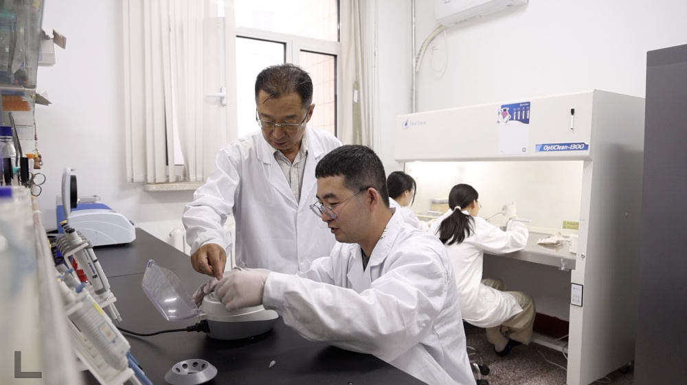 科技报国的时代答卷|守护民生之“芯”:黄瓜“芯”的创新征途 科技报国的时代答卷|守护民生之“芯”:黄瓜“芯”的创新征途