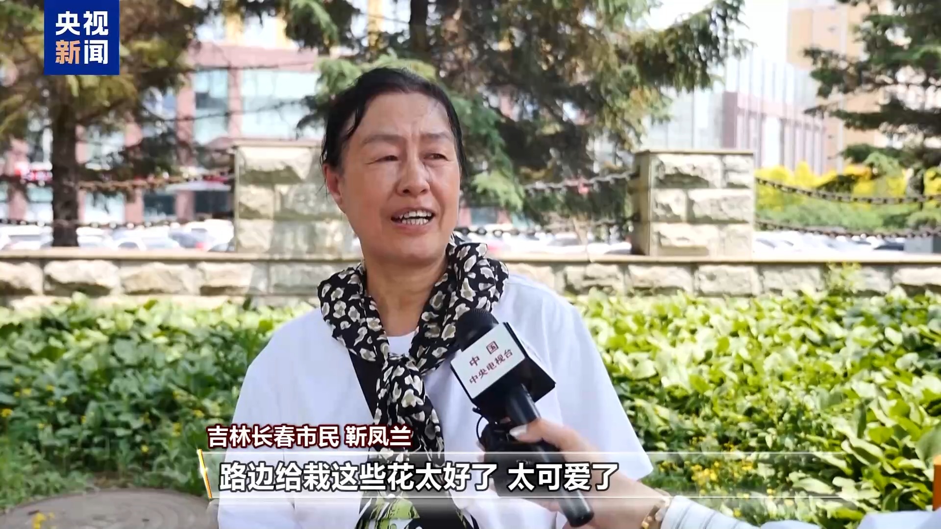 城市的浪漫藏不住了!这个夏天祝你一路生花 城市的浪漫藏不住了!这个夏天祝你一路生花