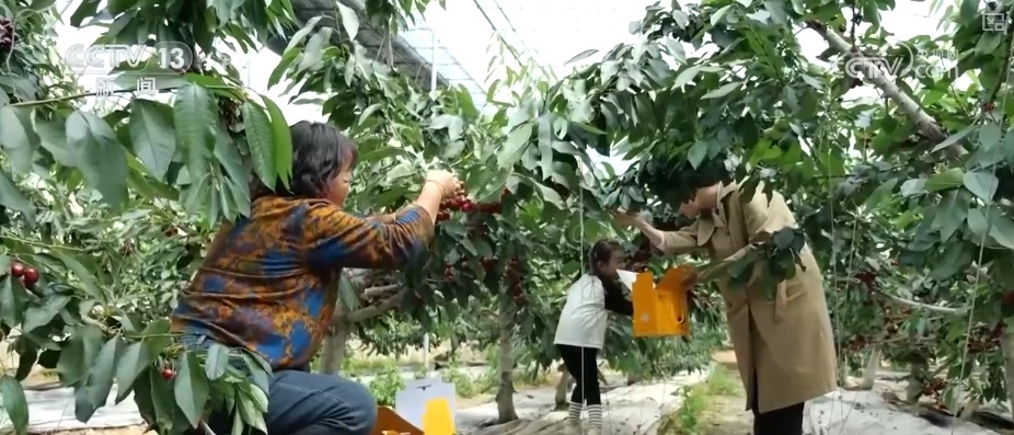 底气支撑信心！多维重磅数据发布 “数”里行间读懂中国经济韧性增强